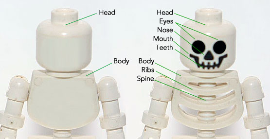 A blank Lego minifigure side by side with a Lego skeleton minifigure with more identifiable “body parts”